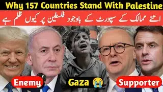 Countries That Recognize Palestine vs Those That Don&rsquo;t | Full Truth About Gaza | Gaza Update Today