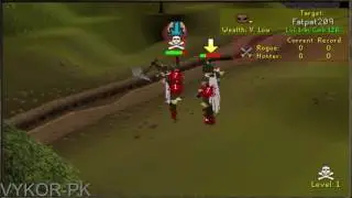 VYKOR-PK SNEAK PEAK