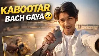 Aaj Ka Din Full Emotional 😢 | Dog, Office, Kabootar Rescue & Haircut Vlog 
