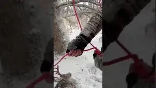 What&rsquo;s a homestead slip knot? Well, it&rsquo;s great for hanging deer&hellip; and trespassers.