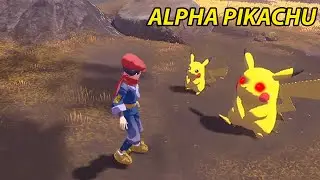 POKEMON - TẬP 11 | BẮT TH&Agrave;NH C&Ocirc;NG PICHU TIẾN H&Oacute;A ALPHA PIKACHU SI&Ecirc;U TO | POKEMON LENGENDS ARCEUS