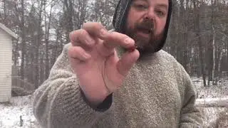 Learning to identify wild plants in the winter