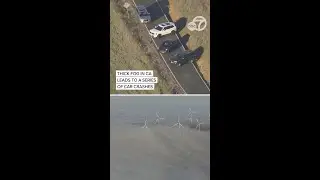 Thick fog in California leads to a series of car crashes