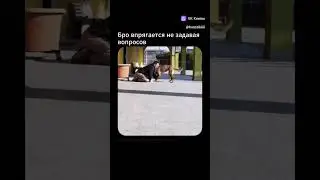 Ядовитый TECH HOUSE🍄 #techhouse #techno #music #electronicmusic #release #shorts #dog #humor #like