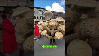 Парад любителей грибов 🤣🤣