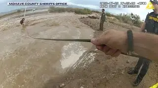 Body camera video shows swiftwater rescue of woman holding onto stop sign