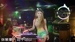 张紫豪 - 可不可以 DJ-MJ Electro Remix【可不可以 和你在一起我们之间有太多回忆】🔥🔥 4K MV