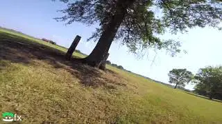 Trees_v2