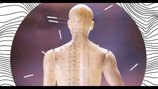 LAMP TCM & ACUPUNCTURE 01: History of Acupuncture, TCM, Four Classics, Yin-Yang, Five Elements