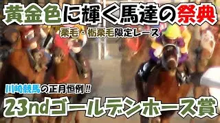川崎競馬の正月恒例‼ 出走馬 全頭が光輝いている 栗毛・栃栗毛限定レース 現地映像 ゴールデンホース賞 2026 【Golden Horse Awards】