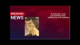 GTC news, part 1