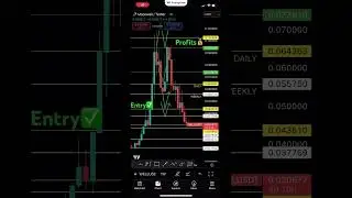 Trader vs. Investor Crypto Moonwell | #trader #investor #crypto #shorts