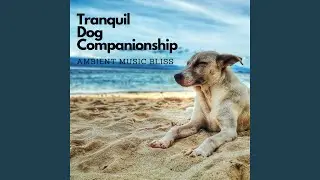 Ambient Music Dog Tranquility