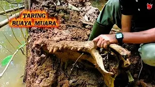 DITEMUKAN TENGKORAK DENGAN UKURAN SANGAT BESAR