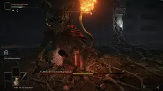 Elden Ring - Erdtree Burial Watchdog [Lvl 1, No Damage, Melee Only]