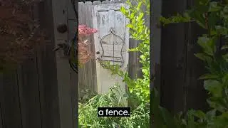 Fun things with old doors @howtoaroundthehouse