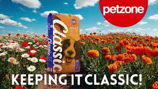 Montego Classic Adult Dog Food - Give your dog the best!