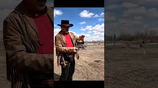 Hammer Bit Me #ковбой #стрелок #вестерн #rdr2 #saa #стрельба #круто #тройнойвыстрел #Клинтиствуд