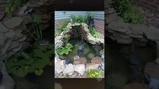 backyard fish pond installation# backyard water features# Garden #YouTube shorts
