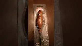 Top water Beaver lure? 👍 or 👎 #shorts #fishing #lurefishing #short