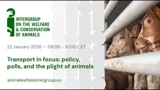 TRANSPORT IN FOCUS: policy, polls, and the plight of animals