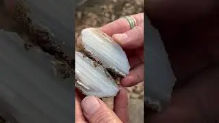 Waterline sandwich #agate #rocks #rock #geology #minerals #nature #earth #wow #pretty #love #excited