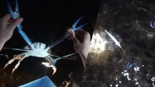 BLUE CRABBING For BIG Swimmers & GAR Fishing | Yorke Peninsula, South Australia (Pt 1)
