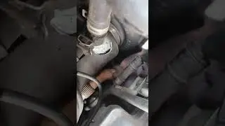 ... про запах выхлопных газов в салоне Ссанг Ёнг Кайрон часть 2