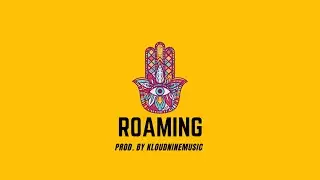 Chill Smooth Neo Soul Type Beat - Roaming | R&B Type Beat 2024 | RNB Type Beat 2024