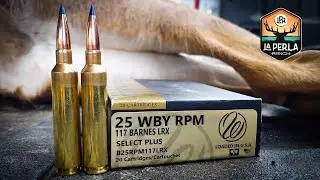 25 RPM vs Deer - @LaPerlaRanch  La Perla Ranch