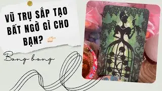 🌠Tarot 🌠 Vũ Trụ sắp tạo bất ngờ gì cho bạn? 😍