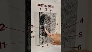 Forensic Science Week: Your Fingerprint