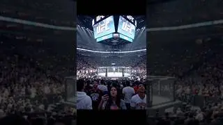 UFC TITLE FIGHT