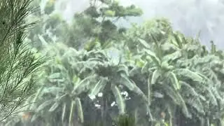 Rain rain rain #bali #rain #wind #asmr