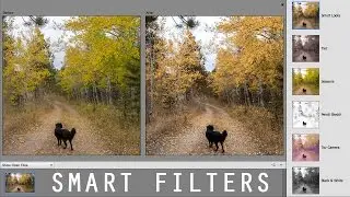 Photoshop Elements 14 Smart Filters