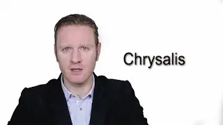 Chrysalis - Meaning | Pronunciation || Word Wor(l)d - Audio Video Dictionary