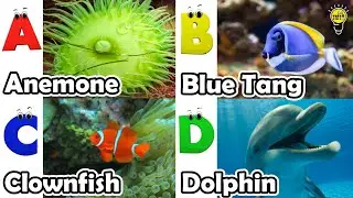 ABC phonics animals | ABC Sea Animals song | English and Animals for Kids | Alphabets Kids Song