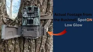 Actual footage from the Bushnell Spot On Low Glow from Walmart