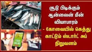 Vridhi Techno Farms: Chemical-Free, High-Quality Seafood | Matsya Sampada Yojana | DD Tamil News