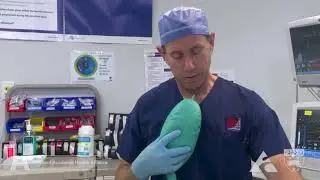 Anaesthetic Induction and Endotracheal Intubation I