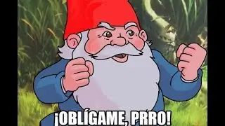 Dame el puto chile Gueyyy - Me oblig&oacute; el prro xd