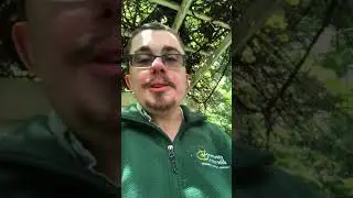 NHGives Virtual Fundraiser