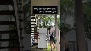 #refrigerador #freezer #baseball #baseballbat #perfectform #india #limitless