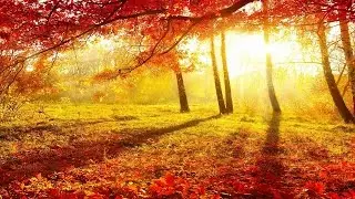 Beautiful Autumn | Autumn Music part 4 | New Age, Instrumental