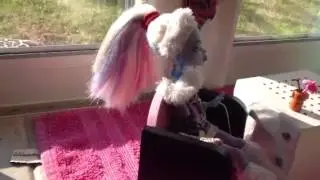 Ma maison monster high:)))))partie 2