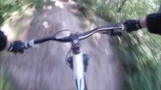 Wilferdingen Downhill