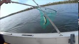 Walleye Fishing Pickerel Lake