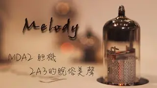 「食腦試音室」之Melody Mda2 胆機～2A3的脫俗美聲！！