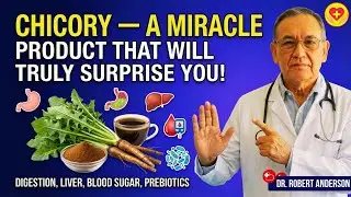 Цикорий &mdash; чудодейственный продукт, который вас по-настоящему удивит!