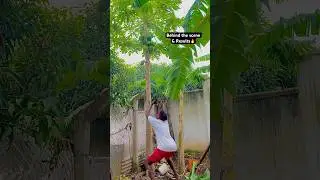 Unity - Nature Rain (Creativity video)